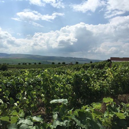 Wineyards Salin Turda Exterior foto