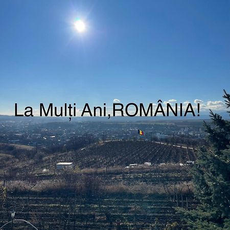 Wineyards Salin Turda Exterior foto