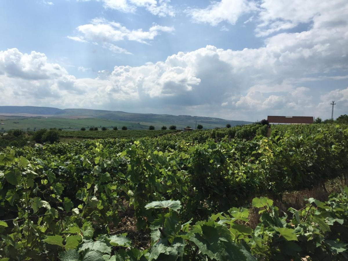 Wineyards Salin Turda Exterior foto