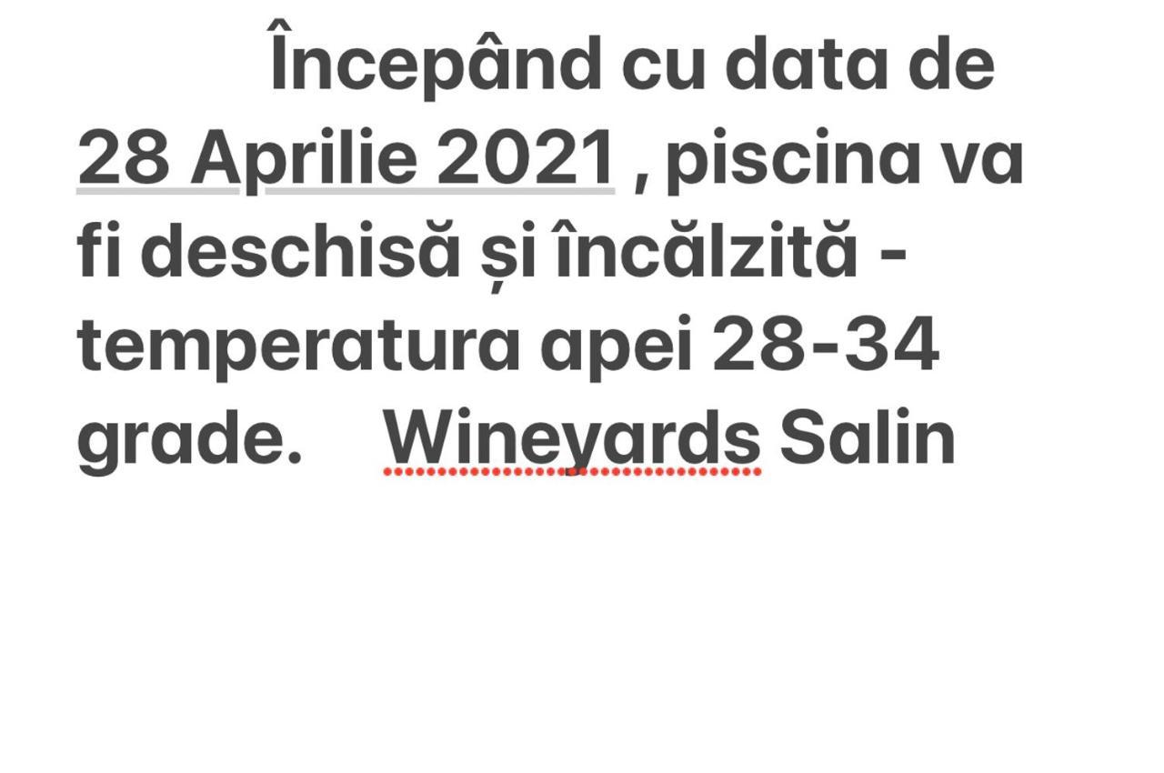 Wineyards Salin Turda Exterior foto