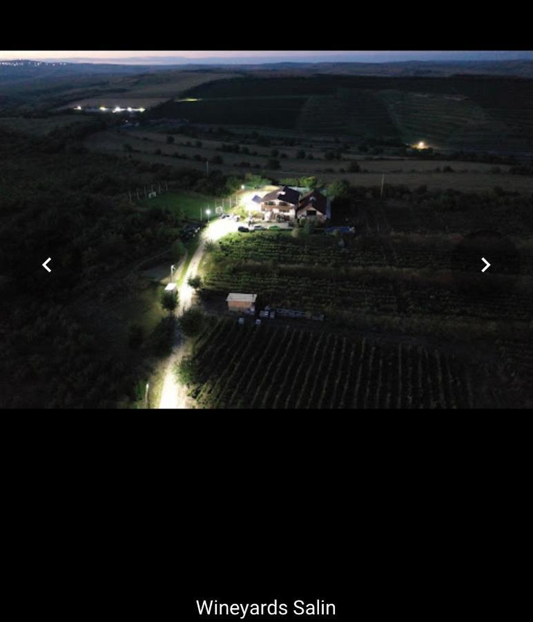 Wineyards Salin Turda Exterior foto