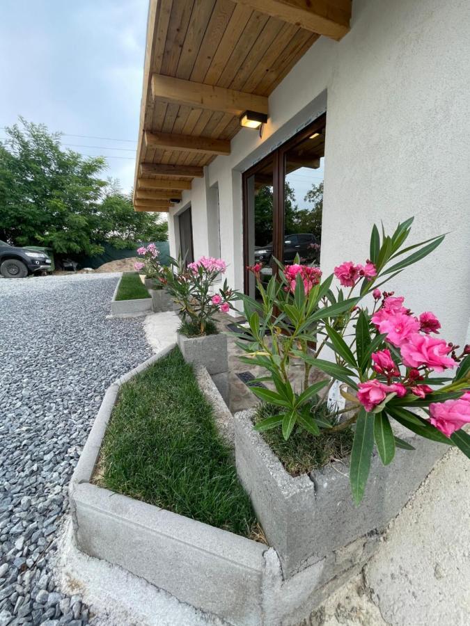 Wineyards Salin Turda Exterior foto