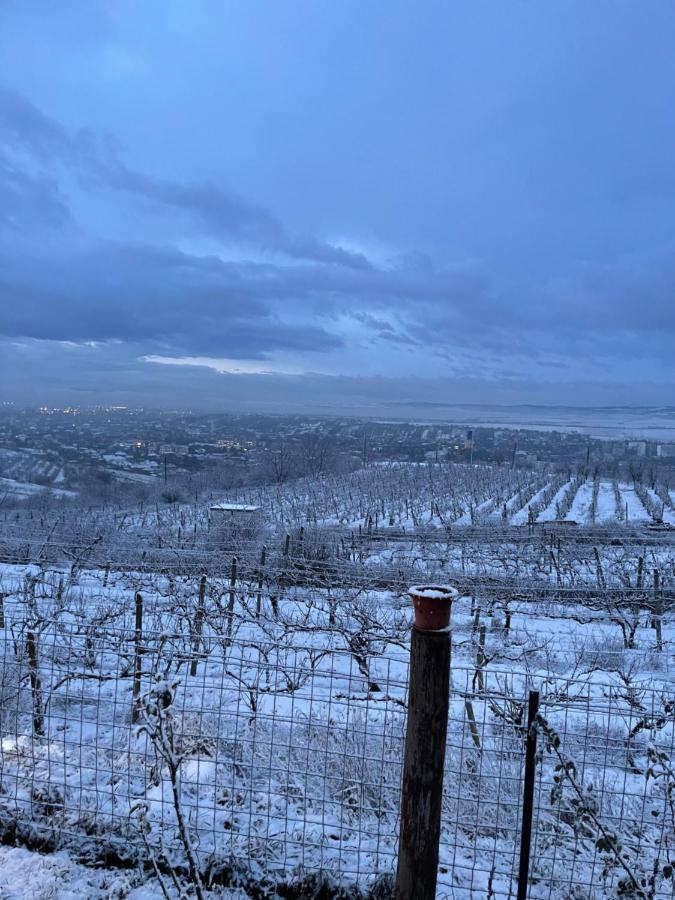 Wineyards Salin Turda Exterior foto
