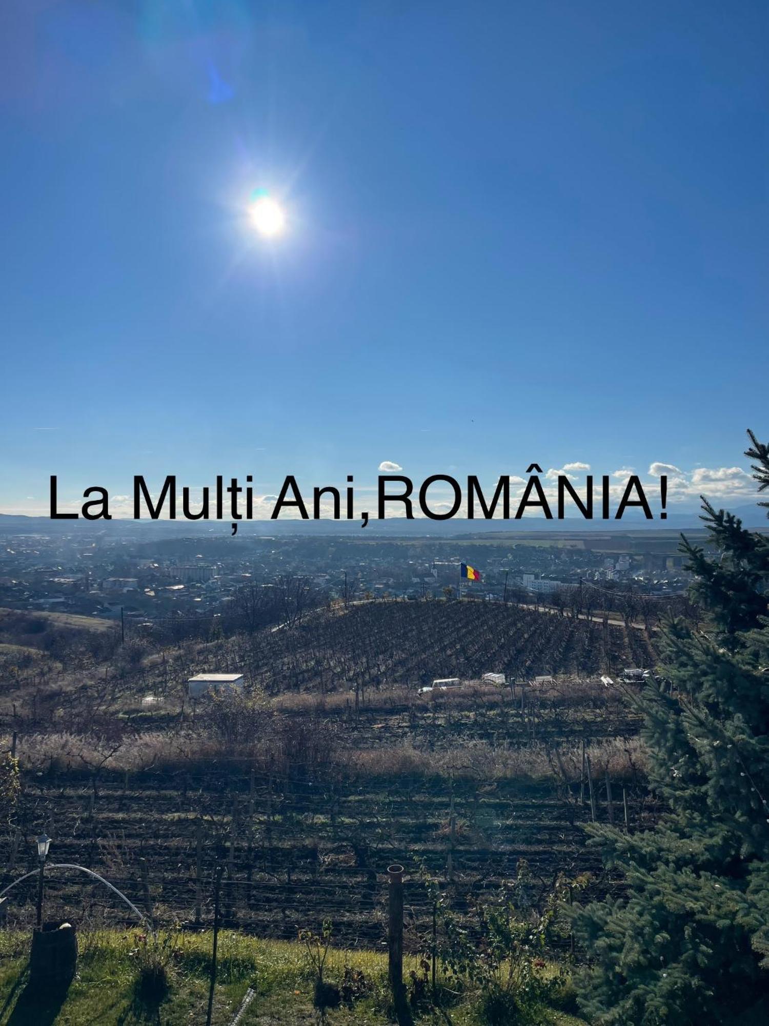 Wineyards Salin Turda Exterior foto